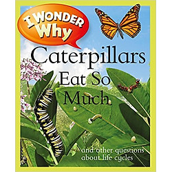 Iww Caterpillars Eat So Much