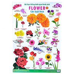 Bé Học Tiếng Anh Qua Hình Ảnh – Các Loài Hoa