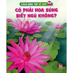 Có Phải Hoa Súng Biết Ngủ Không?
