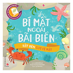 Bật Đèn Soi Bí Mật: Bí Mật Ngoài Bãi Biển