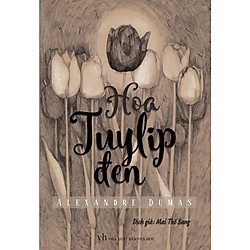 Hoa Tuylip Đen (Minh Long)