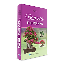 Bonsai Cho Mọi Nhà