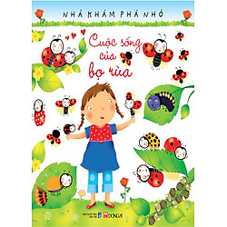 Cuộc Sống Của Bọ Rùa