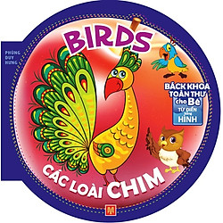 Bách Khoa Toàn Thư Cho Bé – Các Loài Chim
