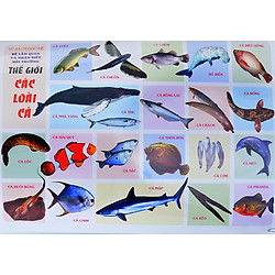 Tranh Thế Giới Các Loài Cá
