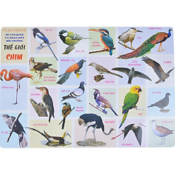 Tranh Thế Giới Chim