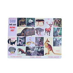 Tranh Thế Giới Động Vật (Song Ngữ Anh – Việt)
