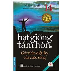 Hạt Giống Tâm Hồn 14 – Góc Nhìn Diệu Kỳ Của Cuộc Sống (Tái Bản)