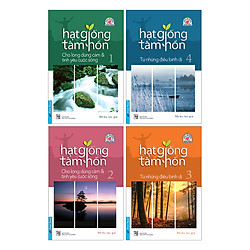 Bộ Combo Valentine 9 – Hạt Giống Tâm Hồn (Tập 1 – 4)