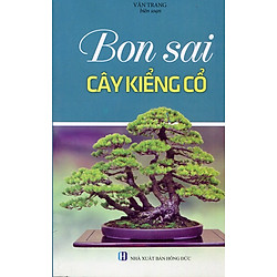 Bonsai Cây Kiểng Cổ