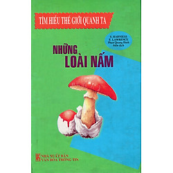 Tìm Hiểu Thế Giới Quanh Ta – Những Loài Nấm