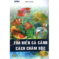 Tìm Hiểu Cá Cảnh – Cách Chăm Sóc