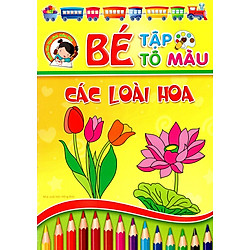 Bé Tập Tô Màu – Các Loài Hoa