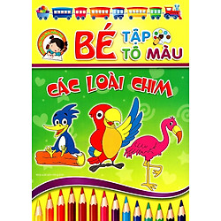 Bé Tập Tô Màu – Các Loài Chim