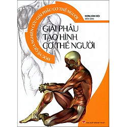 Học Vẽ Qua Nghiên Cứu Giải Phẫu Cơ Thể Người – Giải Phẫu Tạo Hình Cơ Thể Người