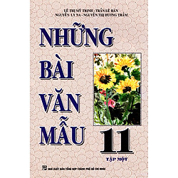 Những Bài Văn Mẫu Lớp 11