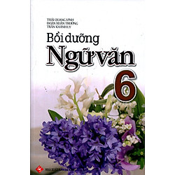 Bồi Dưỡng Ngữ Văn Lớp 6