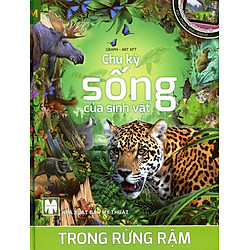 Chu Kỳ Sống Của Sinh Vật Trong Rừng Rậm