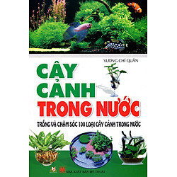 Cây Cảnh Trong Nước