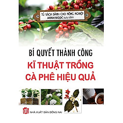 Bí Quyết Thành Công Kĩ Thuật Trồng Cà Phê Hiệu Quả