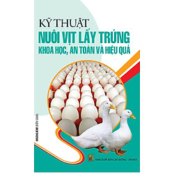 Kỹ Thuật Nuôi Vịt Lấy Trứng Khoa Học, An Toàn Và Hiệu Quả