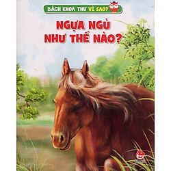 Ngựa Ngủ Như Thế Nào