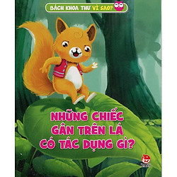 Những Chiếc Gân Trên Lá Có Tác Dụng Gì