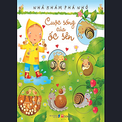 Cuộc Sống Của Ốc Sên