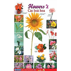 Poster Lớn – Flowers 2: Các Loài Hoa