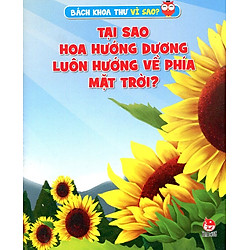 Tại Sao Hoa Hướng Dương Luôn Hướng Về Phía Mặt Trời