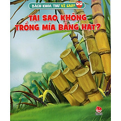 Tại Sao Không Trồng Mía Bằng Hạt
