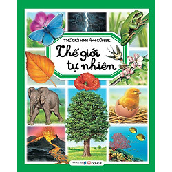 Thế Giới Hình Ảnh Của Bé – Thế Giới Tự Nhiên