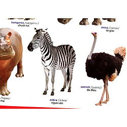 Poster Trong Sở Thú