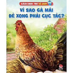 Vì Sao Gà Mái Đẻ Xong Phải Cục Tác
