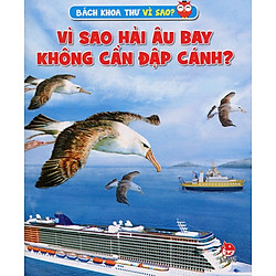Vì Sao Hải Âu Bay Không Cần Đập Cánh