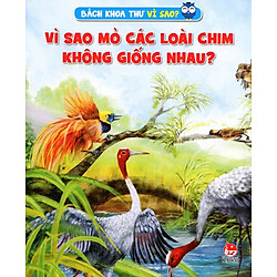Vì Sao Mỏ Các Loài Chim Không Giống Nhau