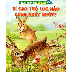 Vì Sao Thỏ Lúc Nào Cũng Nhảy Nhót
