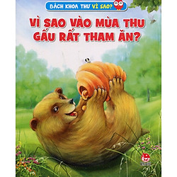 Vì Sao Vào Mùa Thu Gấu Rất Tham Ăn