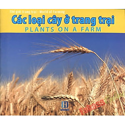 Thế Giới Trang Trại – Các Loài Cây Ở Trang Trại