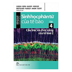 Sinh Học Phân Tử Của Tế Bào (Tập 4) – Cấu Trúc Và Chức Năng Của Tế Bào 2