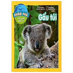 Khám Phá Thế Giới Diệu Kì – Gấu Túi