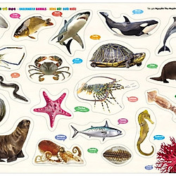 Cùng Con Chơi Và Học – Động Vật Dưới Nước