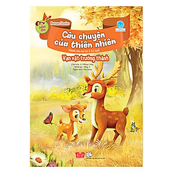 Nature Stories – Câu Chuyện Của Thiên Nhiên – Mùa Thu – Vạn Vật Trưởng Thành​