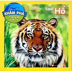 Khám Phá Thế Giới Diệu Kỳ – Loài Hổ