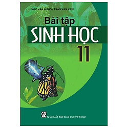 Bài Tập Sinh Học 11 (T9)
