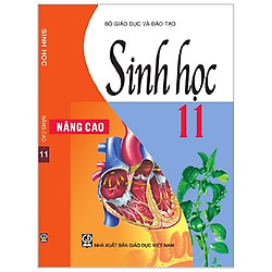 Sinh Học 11 – Nâng Cao (T9)