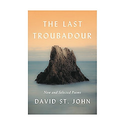 The Last Troubadour