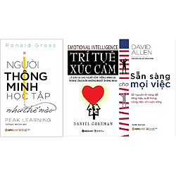 Combo Người Thông Minh Học Tập Như Thế Nào + Trí Tuệ Xúc Cảm + Sẵn Sàng Cho Mọi Việc</spa