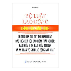 Bộ Luật Lao Động – Chính Sách Tiền Lương – Hướng Dẫn Chi Tiết Thi Hành Luật Bảo Hiểm Xã H
