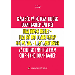 Giám đốc và kế toán trường doanh nghiệp cần biết – Luật doanh nghiệp – Luật hỗ trợ doanh